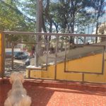 Casa Térrea à venda com 3 quartos, sendo 1 suíte, em Vila Maria, São Paulo, SP