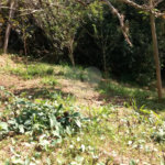 Terreno à venda em Jardim Morumbi, São Paulo, SP
