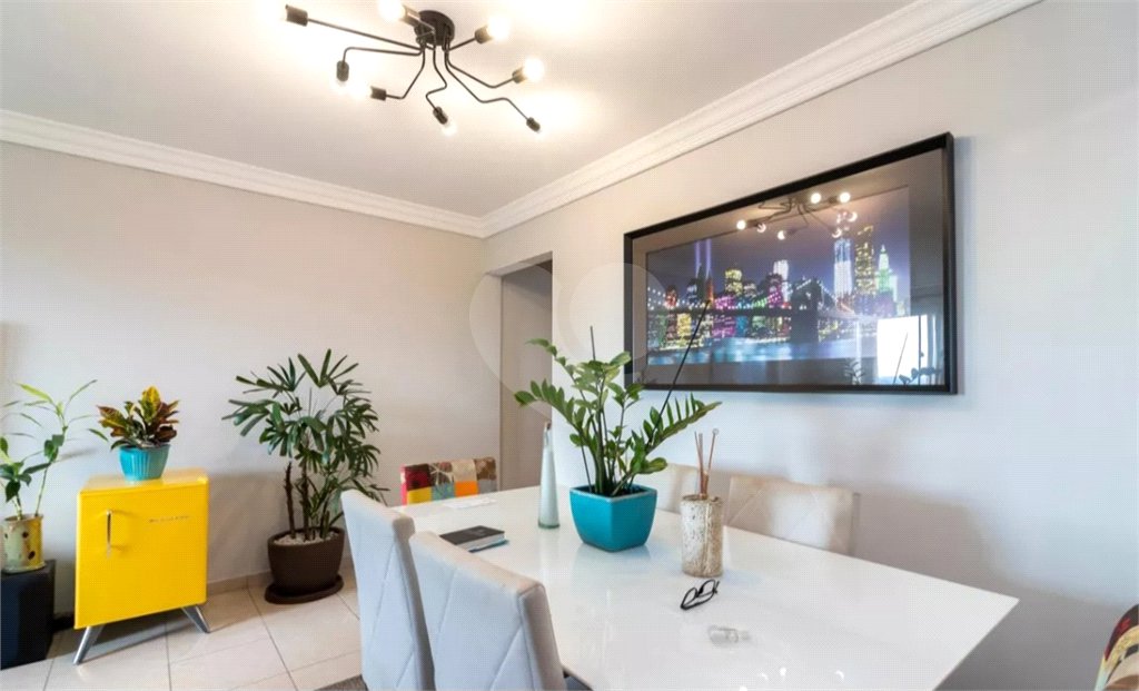 Apartamento à venda com 3 quartos, sendo 1 suíte, em Vila Nova Cachoeirinha, São Paulo, SP
