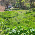 Terreno à venda em Jardim Paulista, Atibaia, SP
