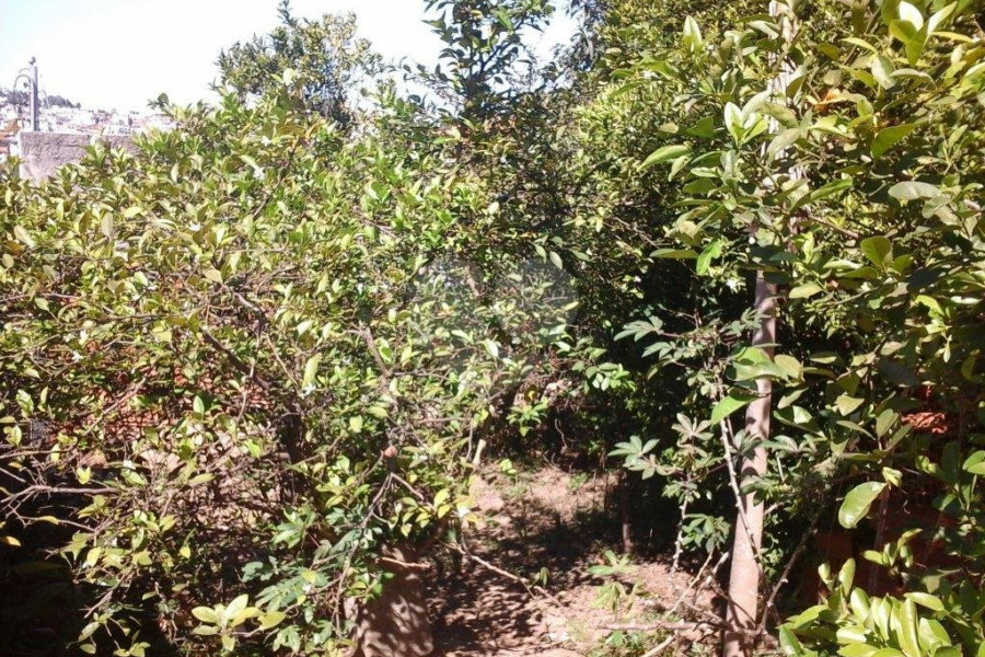 Terreno à venda em Tremembé, São Paulo, SP