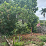 Casa à venda com 3 quartos em Jardim Refúgio, Sorocaba, SP