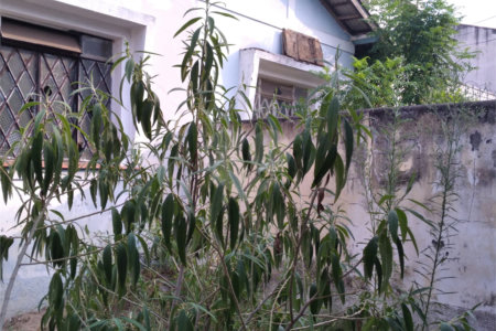 Terreno à venda em Vila Nivi, São Paulo, SP