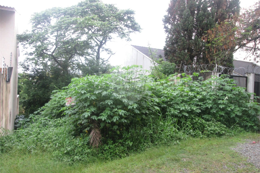 Terreno à venda no condomínio Loteamento Jardim entre Serras, São Paulo - SP