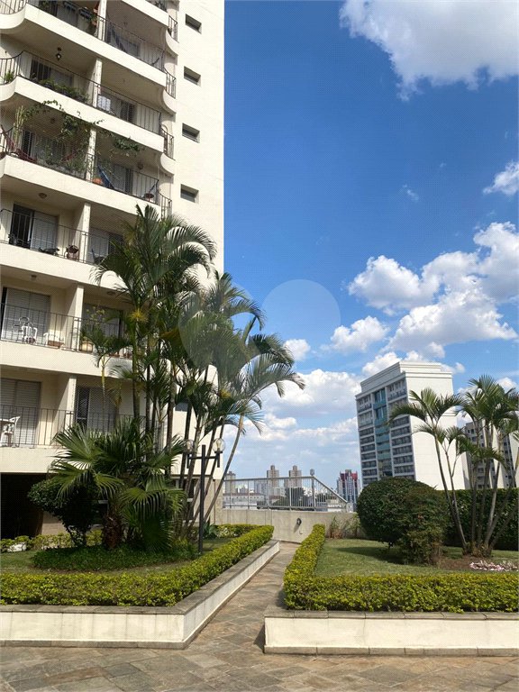 Apartamento à venda com 3 quartos, sendo 1 suíte, em Santa Teresinha, São Paulo, SP