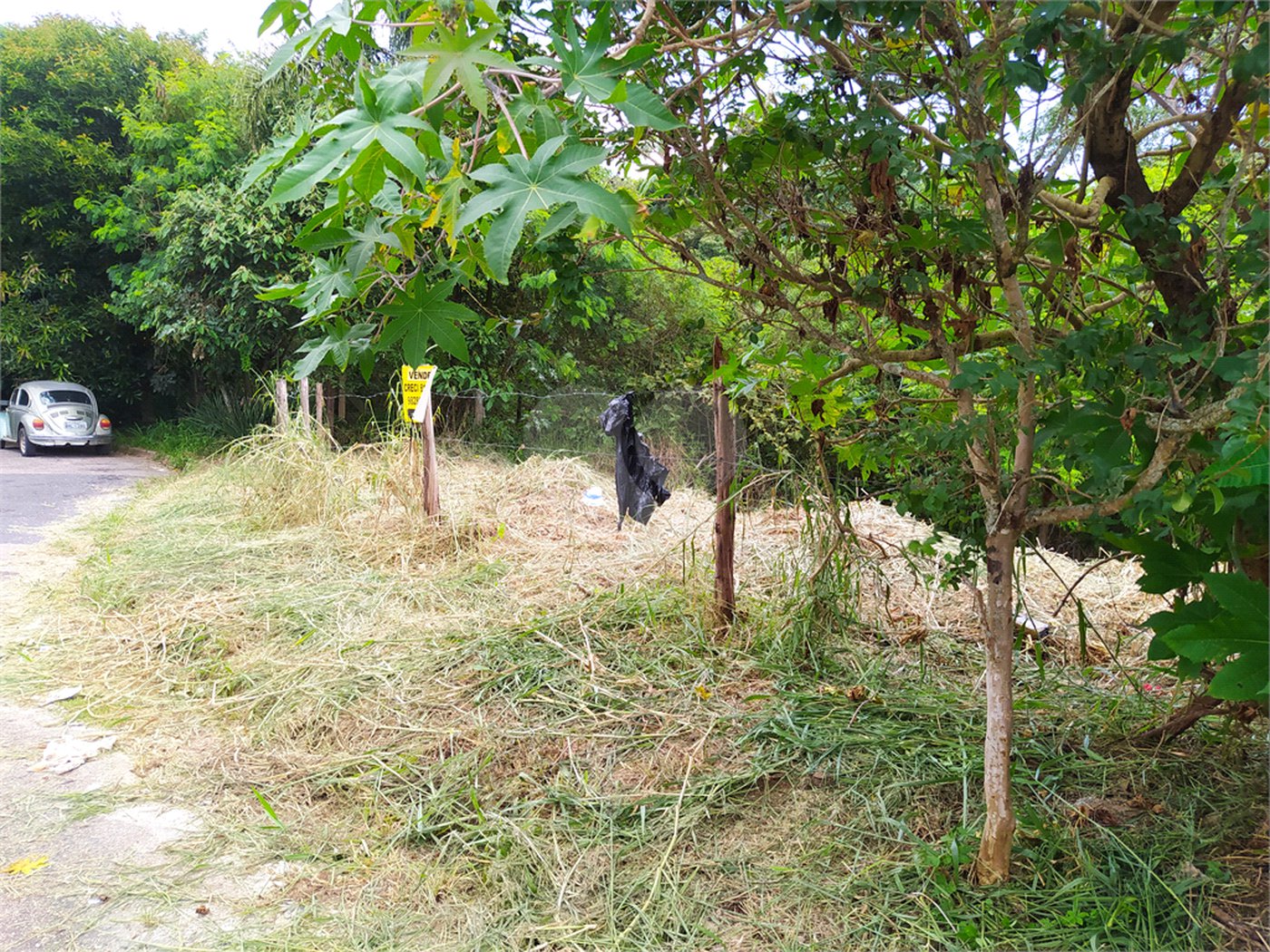 Terreno à venda em Loteamento Jardim do Sol (mailasqui), São Roque, SP