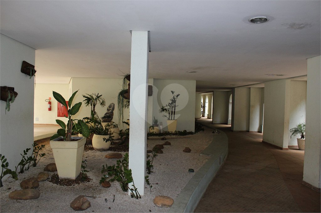 Apartamento à venda com 3 quartos, sendo 1 suíte, em Mandaqui, São Paulo, SP
