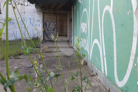 Terreno à venda em Socorro, São Paulo, SP