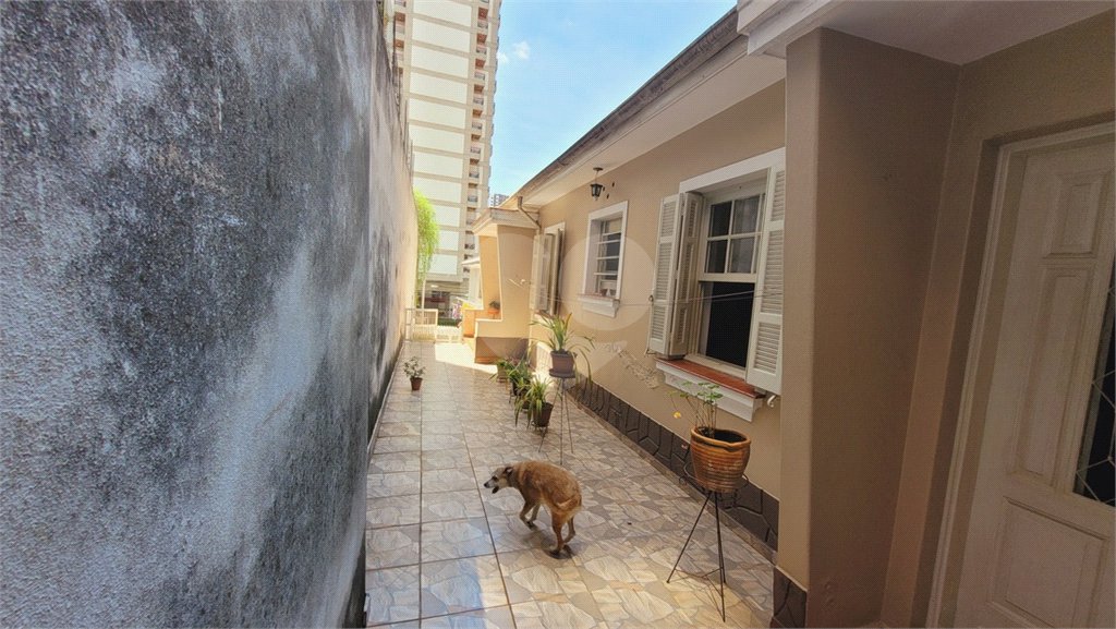 Casa à venda com 3 quartos, sendo 1 suíte,  em Perdizes, São Paulo, SP