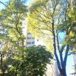Apartamento à venda com 3 quartos em Chácara Santo Antônio (zona Sul), São Paulo, SP