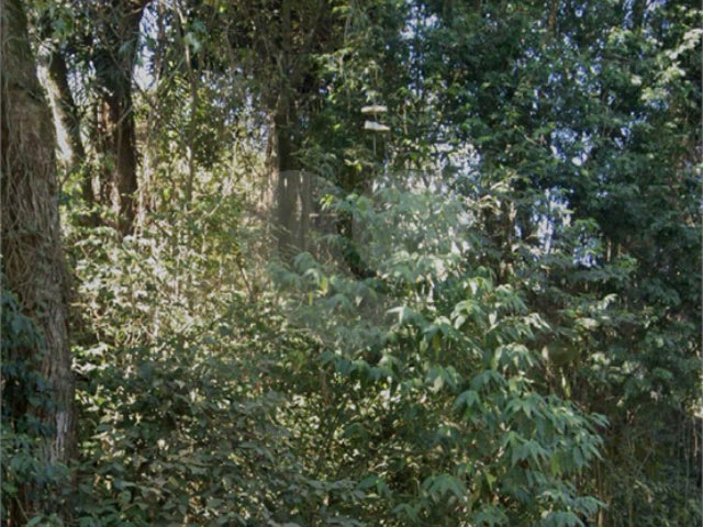 Terreno à venda em Tremembé, São Paulo, SP