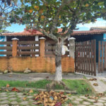 Casa à venda com 2 quartos, sendo 1 suíte, em Gaivota, Itanhaém, SP