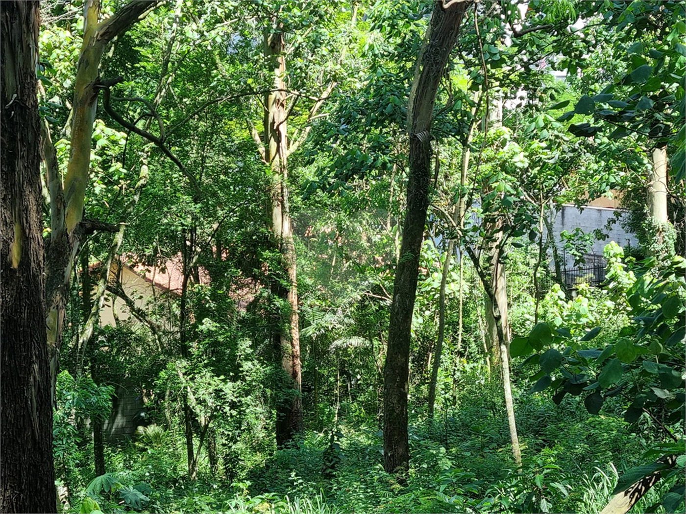 Terreno à venda no condomínio Horto do Ypê, São Paulo - SP
