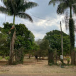 Chácara Parque Itaipu 3 quartos.