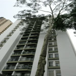 Apartamento à venda com 2 quartos, sendo 1 suíte, em Vila Suzana, São Paulo, SP