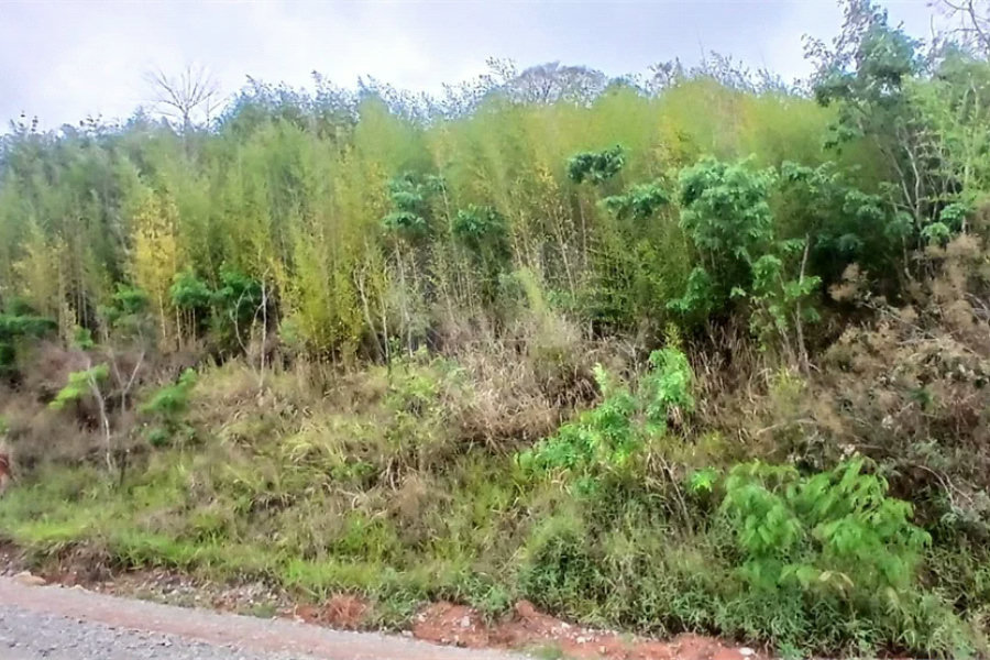 Terreno à venda em Luiz Fagundes, Mairiporã, SP