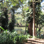 Terreno à venda em Chácara Flora, São Paulo, SP