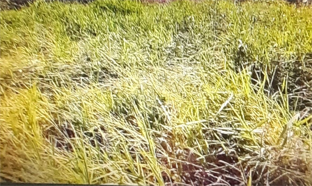 Terreno à venda em Estância Santa Maria do Portão, Atibaia, SP