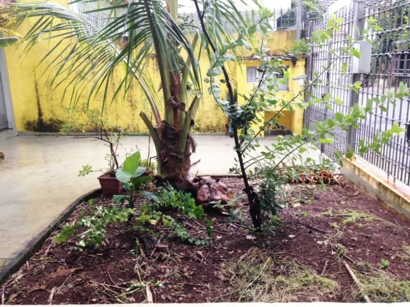 Casa Térrea à venda com 3 quartos, sendo 1 suíte, em Vila Cordeiro, São Paulo, SP
