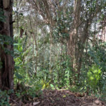 Terreno à venda em Paraisópolis, São Paulo, SP