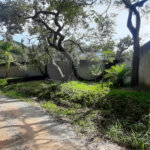 Terreno à venda em São Vicente, Mairiporã, SP