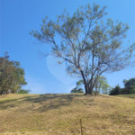 Terreno à venda no condomínio Acmti - Colinas do Mosteiro, Terras de Itaici e Recanto dos Pássaros, Indaiatuba - SP