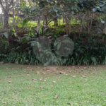 Casa à venda com 3 quartos, sendo 1 suíte, em Luiz Fagundes, Mairiporã, SP