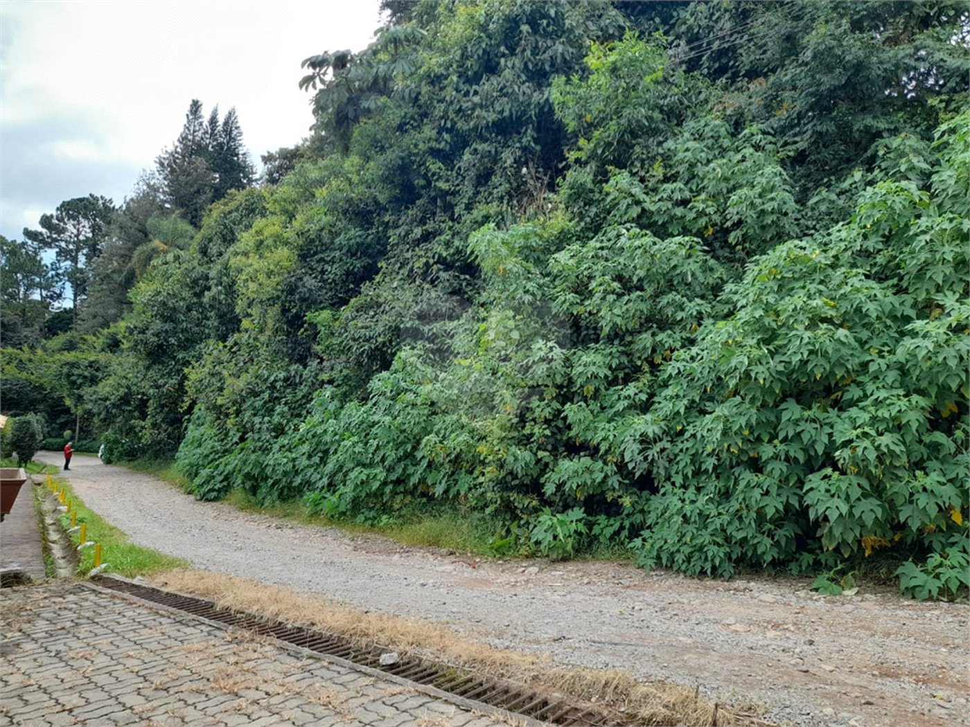 Terreno à venda em Serra da Cantareira, Mairiporã, SP