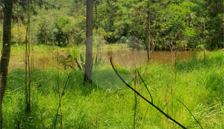 Terreno à venda em Vila Moraes, Mogi das Cruzes, SP