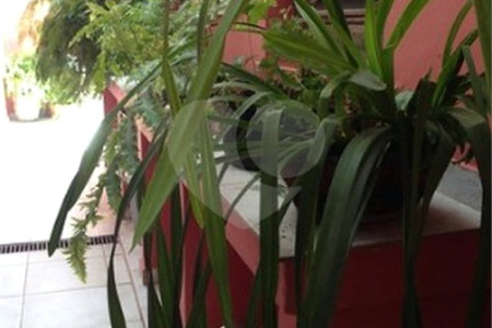 Sobrado à venda com 4 quartos, sendo 2 suítes,  em Campo Belo, São Paulo, SP