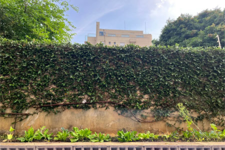 Apartamento à venda com 3 suítes em Bela Aliança, São Paulo, SP