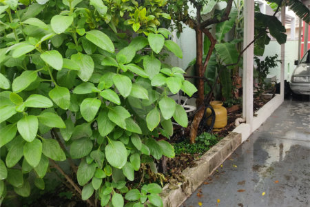 Terreno à venda em Vila Medeiros, São Paulo, SP