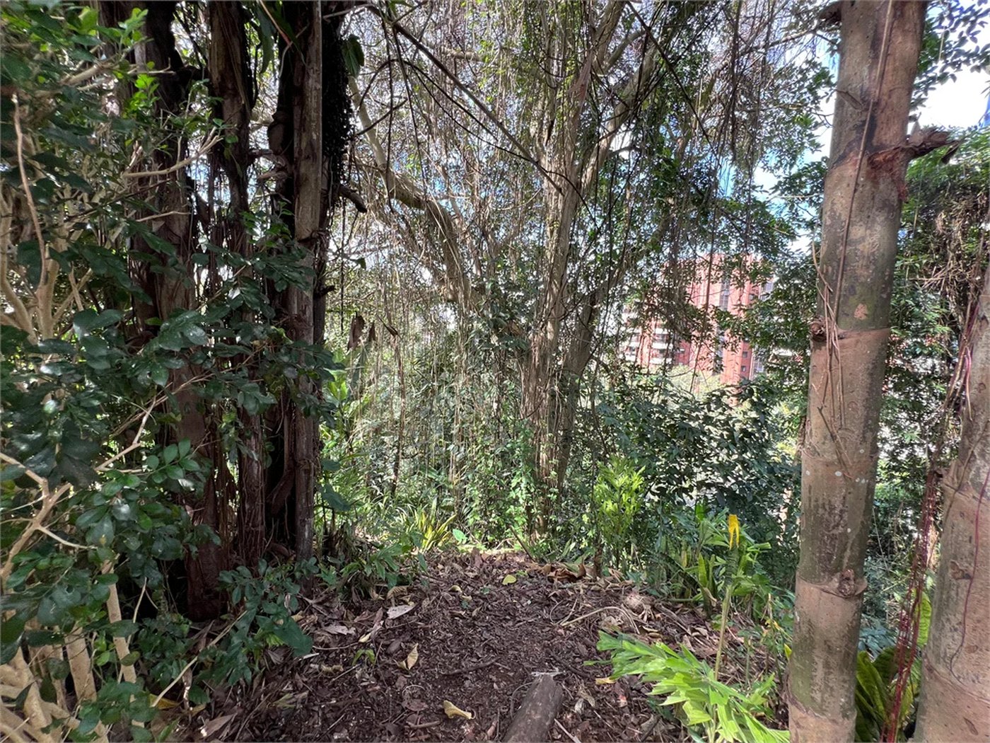 Terreno à venda em Paraisópolis, São Paulo, SP