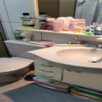 Sobrado à venda com 3 quartos em Jardim Nova Germania, São Paulo, SP