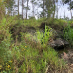 Terreno à venda em Serra da Cantareira, Mairiporã, SP