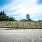 Área de Terra à venda em Jardim Paulista, Taubaté, SP