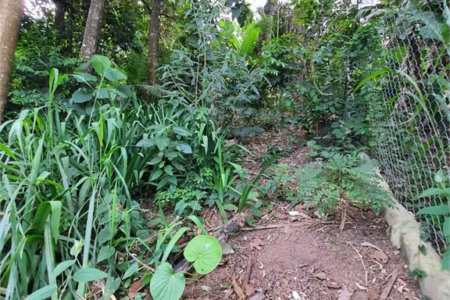 Loteamento à venda em Jardim Amália, São Paulo, SP