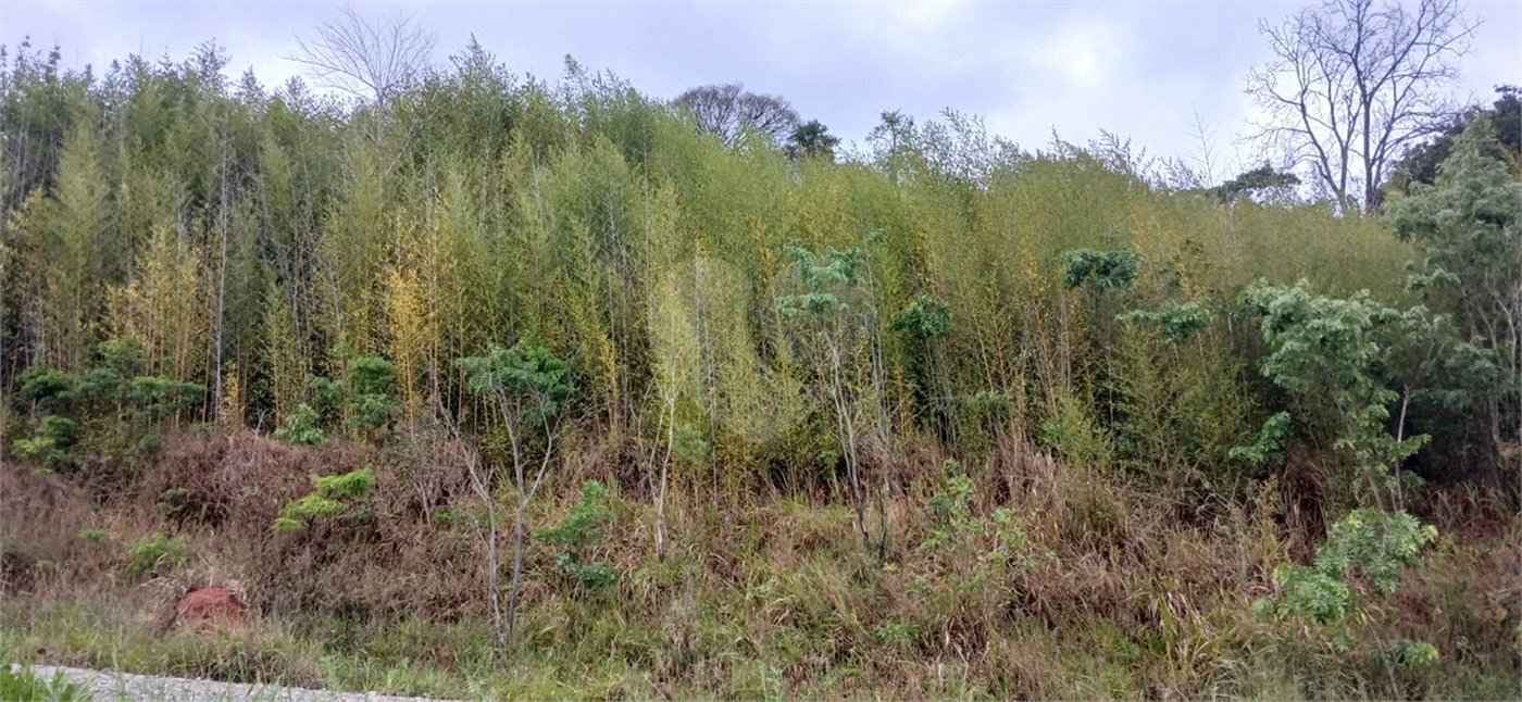 Terreno à venda em Luiz Fagundes, Mairiporã, SP