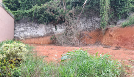 Terreno à venda em Vila Albertina, São Paulo, SP