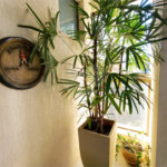 Apartamento Studio à venda Noblesse XV de Novembro São Carlos