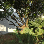 Terreno à venda em Vila São José, Valinhos, SP