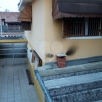 Casa à venda com 5 quartos, sendo 1 suíte, em Vila Guilherme, São Paulo, SP