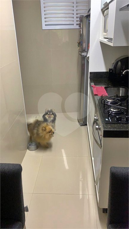Apartamento à venda com 2 quartos em Mandaqui, São Paulo, SP