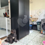 Casa à venda com 5 quartos em Tucuruvi, São Paulo, SP