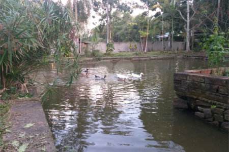 Sítio à venda com 5 quartos, sendo 2 suítes,  em Parque Recreio Dom Pedro Ii (guia de Pacobaíba), Magé, RJ
