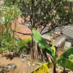 Terreno à venda em Tremembé, São Paulo, SP