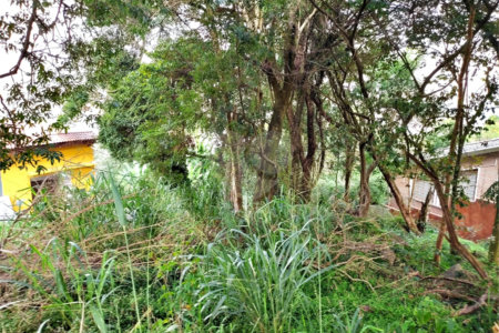 Terreno à venda em Tucuruvi, São Paulo, SP