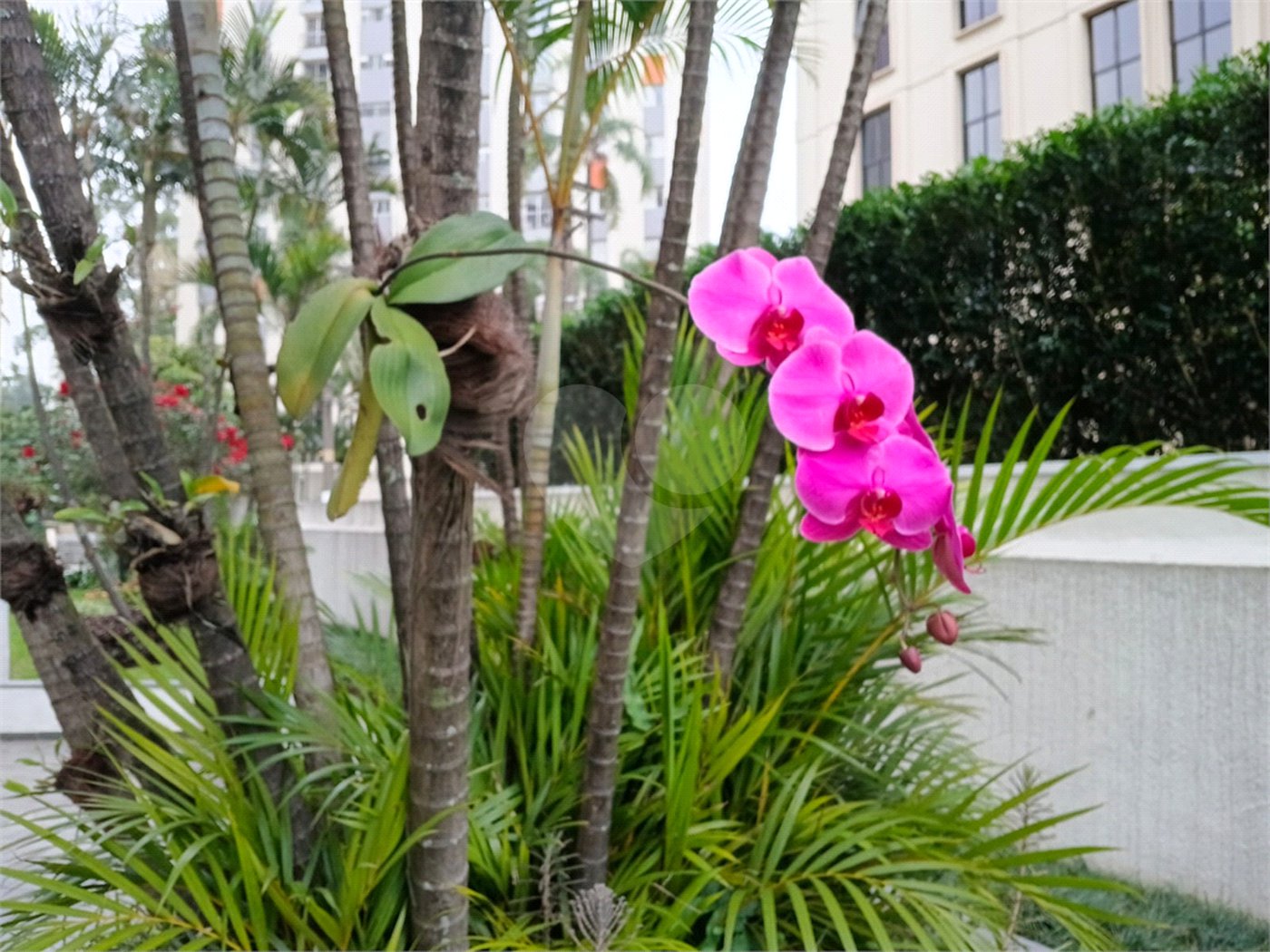Apartamento à venda com 3 quartos, sendo 1 suíte,  em Jardim Marajoara, São Paulo, SP