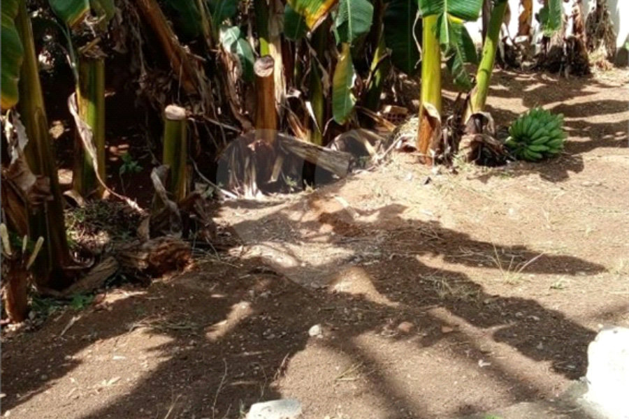 Terreno à venda em Freguesia do Ó, São Paulo, SP