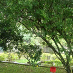 Chácara à venda com 5 quartos, sendo 2 suítes, em Jardim Arujá, Arujá, SP